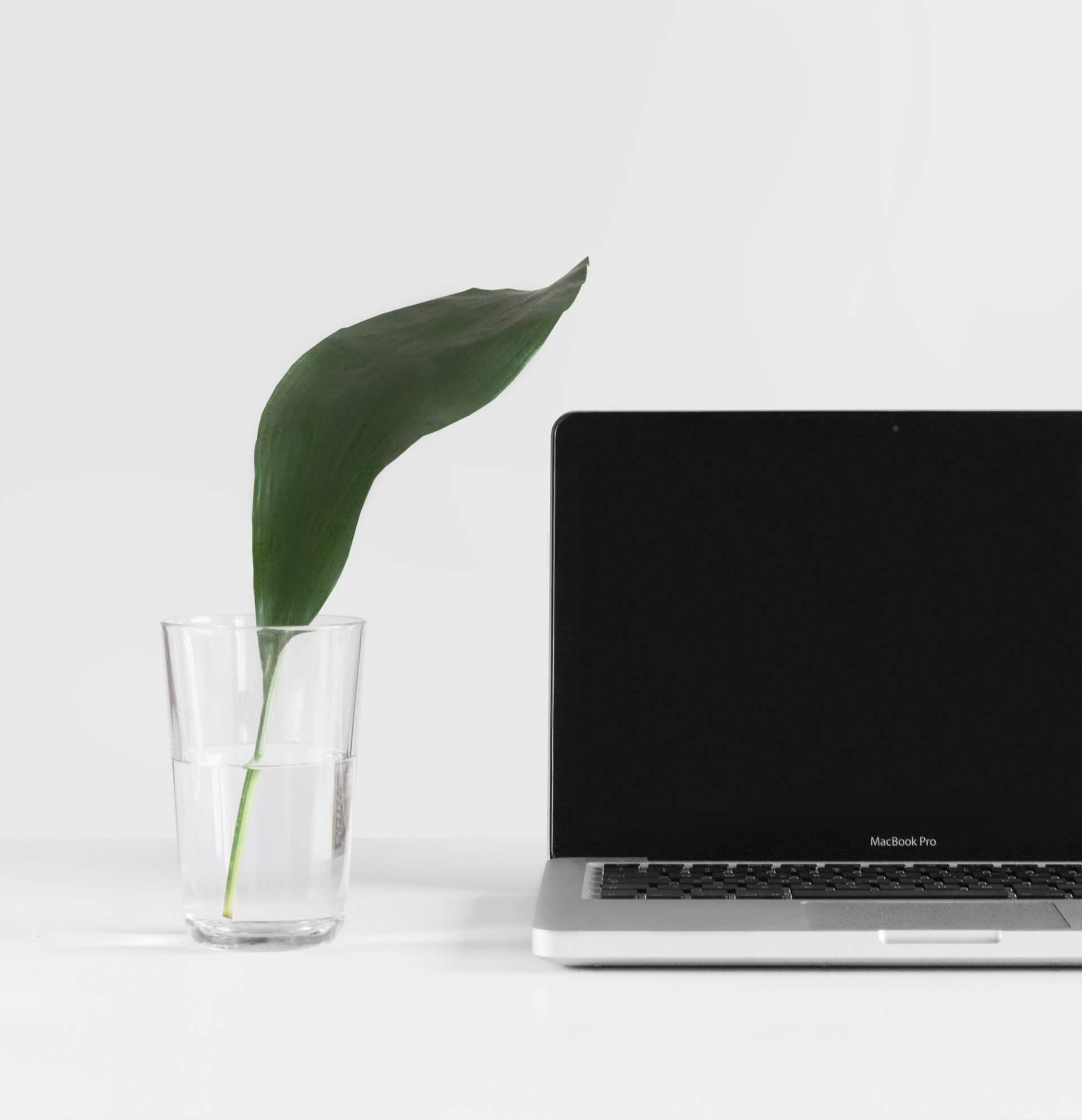 JAKMAN AI Assistant
